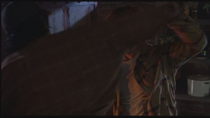 Freddy's Dead: The Final Nightmare DVD Image Vault Gallery