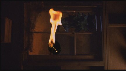 Freddy's Dead: The Final Nightmare DVD Image Vault Gallery