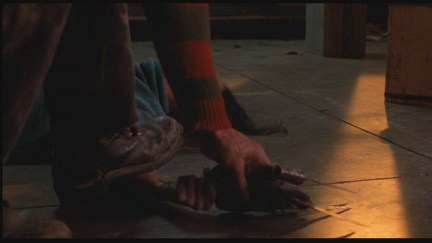 Freddy's Dead: The Final Nightmare DVD Image Vault Gallery